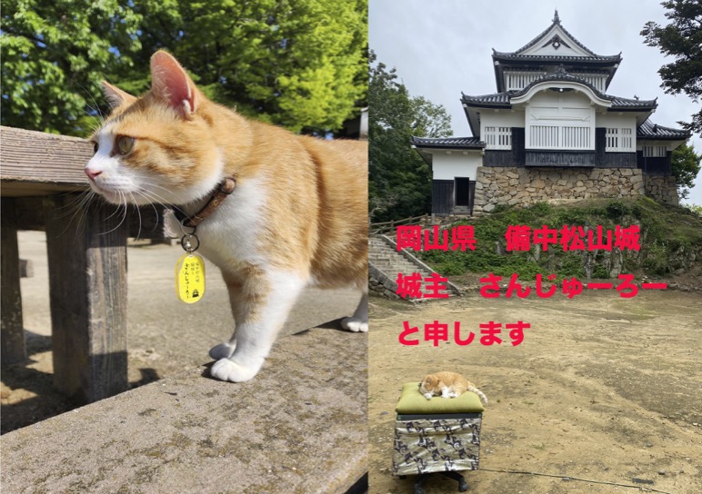 備中松山城 城主 さんじゅーろー